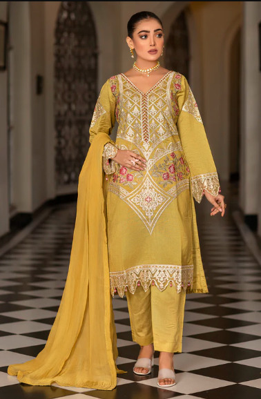 Pakistani Mehndi Dresses Profile Picture